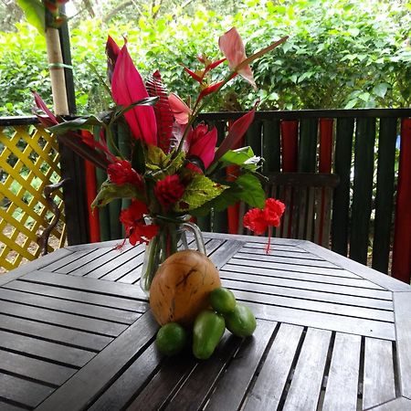 3 Rivers Eco Lodge Rosalie Ngoại thất bức ảnh
