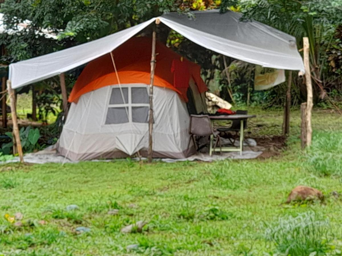3 Rivers Eco Lodge Rosalie Ngoại thất bức ảnh