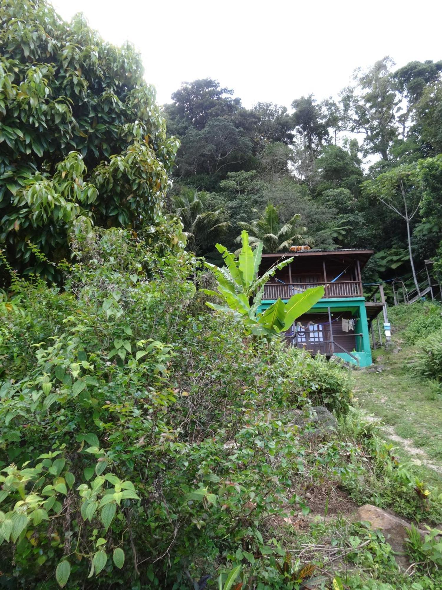 3 Rivers Eco Lodge Rosalie Ngoại thất bức ảnh