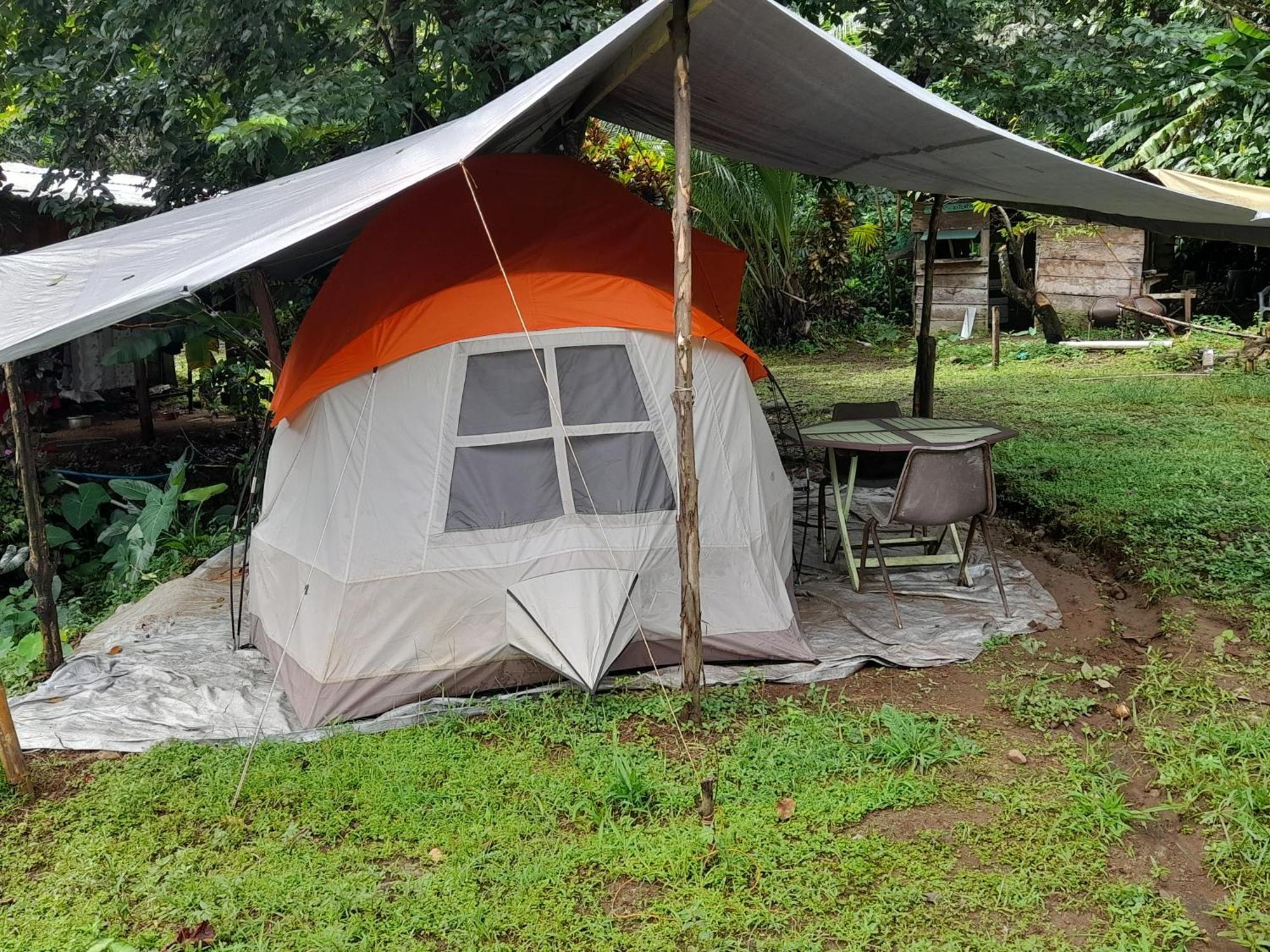 3 Rivers Eco Lodge Rosalie Phòng bức ảnh