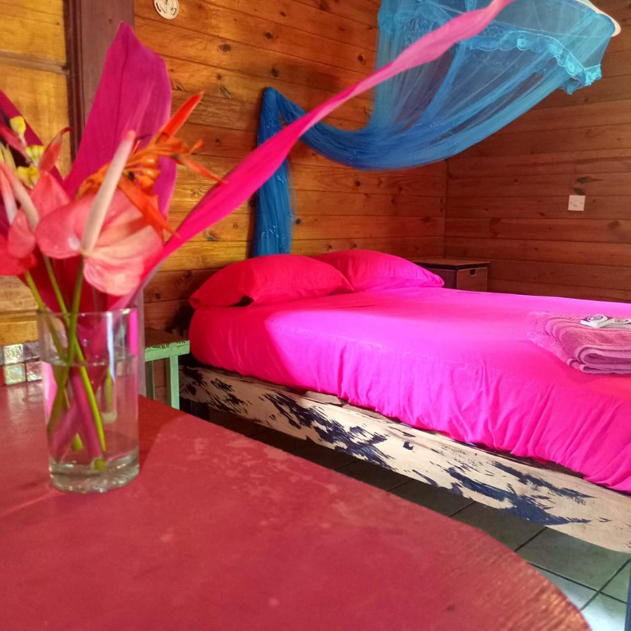 3 Rivers Eco Lodge Rosalie Ngoại thất bức ảnh